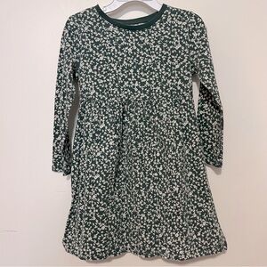 Old Navy Girls 4T Green White Long Sleeve Floral Skater Dress